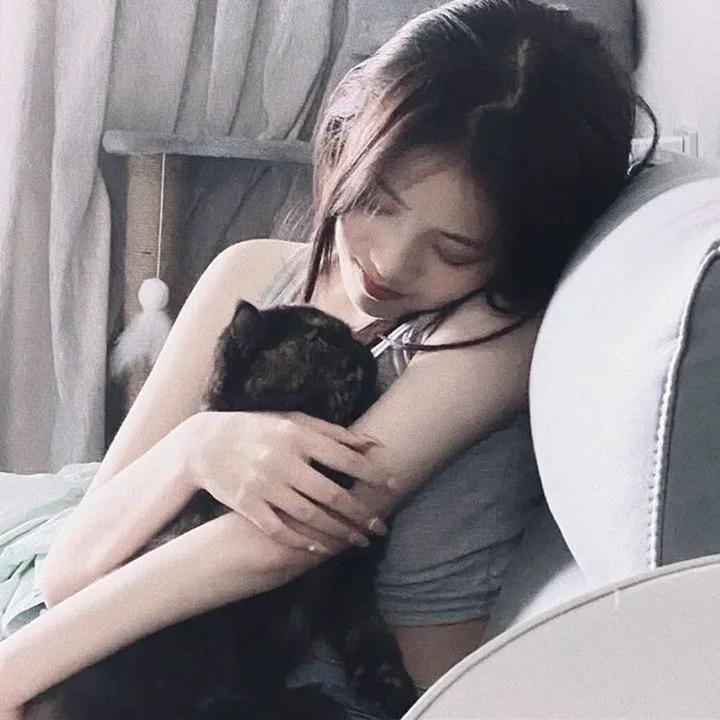哈拉婚礼 在线观看封面